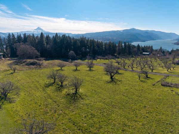 Rare Development Property in White Salmon - RMLS#519552276 1