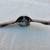 1951 Studebaker Rear Trunk Lock Handle Trim License Light Assembly 7 thumbnail
