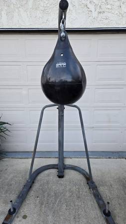 Punching bag and stand 1