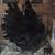 Game Hen 4 thumbnail