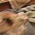 59-authenic native American artifacts 10 thumbnail