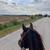 Black Gaited Gelding 8 YEAR OLD ❤️ Solid Trail Horse. 2 thumbnail