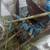 Ford 1510 diesel  4x4 tractor parts 3 thumbnail