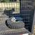16 ft Heavy Duty All Purpose Trailer 8 thumbnail