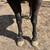 AQHA Gelding 2 thumbnail