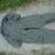 USAF coveralls 4 thumbnail