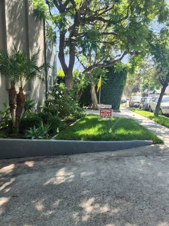 1 bedroom 1 Bath 1
