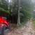 Land Clearing/Forestry Mulching🌳FREE QUOTES 13 thumbnail