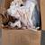 Free bubble wrap, void fill, packing materials 1 thumbnail