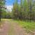 Polebridge and Glacier Mountain Views= Heaven on Earth!! 5 thumbnail