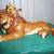 LION KING "Pals Forever" Figurine 1 thumbnail