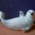 Humane Society Franklin Mint Porcelain SNOW PUP SEAL saw 1 thumbnail