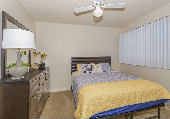 1br - Busy Software Engineer looking for @New Roommate@ 1