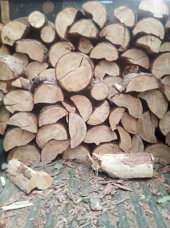 Firewood 1
