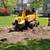 🌳 STUMP GRINDING • FAST • CLEAN • AFFORDABLE • CLEVELAND AREA 🌳 14 thumbnail