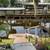 3/2 AFFORDABLE WATERFRONT HOME WITH OCEAN ACCESS 4 thumbnail