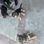 Husky/German Shepherd 2 thumbnail