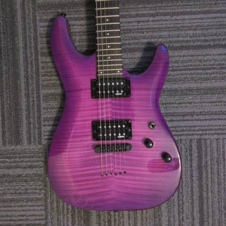 Schecter Guitar 1