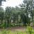 Land for sale 3 thumbnail