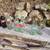 OLD COKE BOTTLES 2 thumbnail