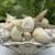 Decorative Seashell Basket 2 thumbnail