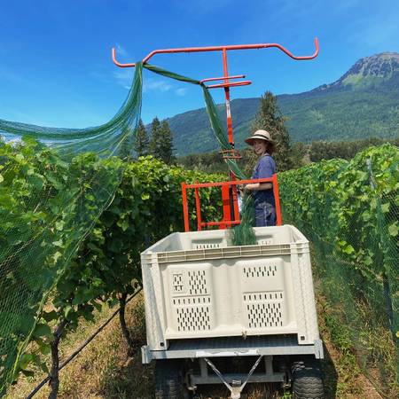 Bird Netting Applicator Platorm - Plantra 1