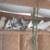 Pigeons 2 thumbnail
