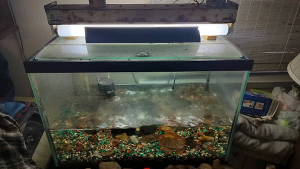 4 Aquariums For Sale - $40 (South Austin)63471406192259123