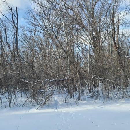 66 foot X 165 foot lot in the city of Akeley 1