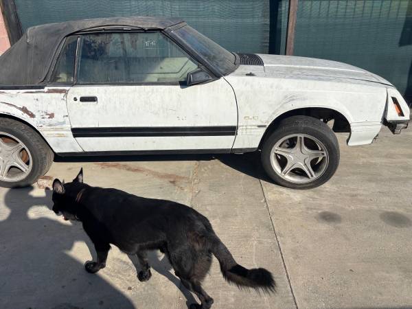 84 mustang 5.0 - $1,000 (El monte)63623927164929121