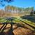 Land and Timber In Cartersville/White 60.242 acres 8 thumbnail