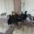 Peacocks/chick's 10 thumbnail