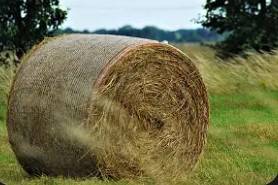 2026 3rd cutting hay 1