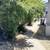 For Rent: Spacious 2-Bedroom, 1 Bathroom Unit in Meadow Brook, Oakland 19 thumbnail