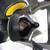 MSA Millennium CBRN Riot Mask w/ new filter 3 thumbnail