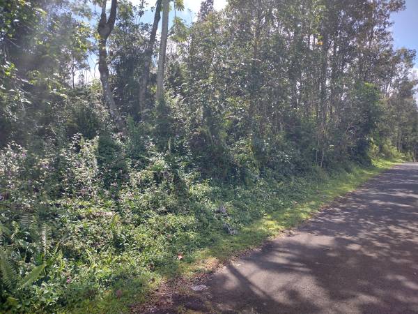 $12,000 / 8040ft2 - Excelente terreno en camino pavimentado (Nanawale Estates (Pahoa))63939392322179122