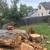 Tree removal & stump removal and various work in the yard 12 thumbnail