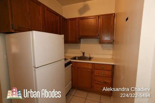 $1,350 / 400ft2 - Huge Studio, 1 Bath in Lakeview, Available: 11/1/2025 (Lakeview)63899122701442123