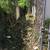 Nick’s Landscaping(empty lot and alley clean up) 23 thumbnail