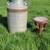 Antique Farm Milk Collectables 3 legged Steel stool rare + Can COOL! 2 thumbnail