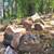 STUMP GRINDING, tree work, CHIPPING, trimming, firewood splitting 11 thumbnail