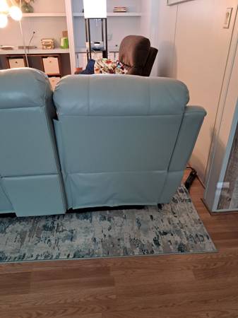 Leather couch 1