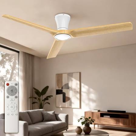 Ceiling fan 1