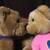 HALLMARK MAGNET KISS NOSE VALENTINES HEART GIRL BOY BEAR PLUSH 3 thumbnail