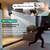 NEW 4K Security Camera Outdoor, Dual Lens PTZ Outside Cameras for Home 3 thumbnail