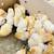 FREE Baby Chicks! 1 thumbnail