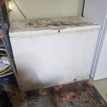 Freezer 1