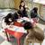 Cubes Junior English Language School 10 thumbnail