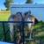 haflinger team 6 thumbnail