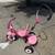 Radio Flyer Steer and Stroll 3 thumbnail